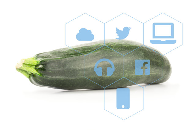  Zucchini with
                    big data symbols